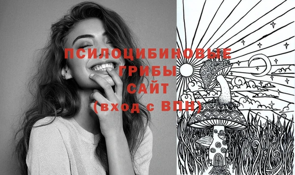 эйфоретик Алексин