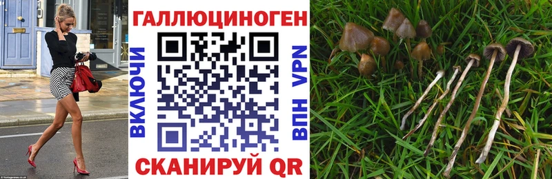 Галлюциногенные грибы GOLDEN TEACHER  Тольятти 
